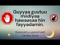 Guyyaa Guutuu Miidiyaa Hawaasaa Hin Fayyadamin Keessattuu Ganamaafi Hirriba Dura