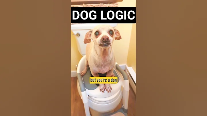 My Talking Dog Uses the Potty 🚽😂 #funny #dog