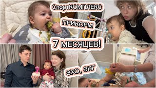 МАЛЫШНЕ 7 МЕСЯЦЕВ! ЭХОкг, ЭКГ, ПРИКОРМ, ДЕЛАЕМ СПОРТКОМЛЕКС, ПРОГРЕСС В НАВЫКАХ