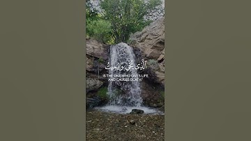 ألم تر إلى الذي حاج إبراهم في ربه | عمير شميم سورة البقرة #سورة