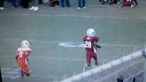 jamaal 28