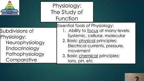 NAU BIO 201 - Lecture 2 - Intro, Homeostasis, Regions