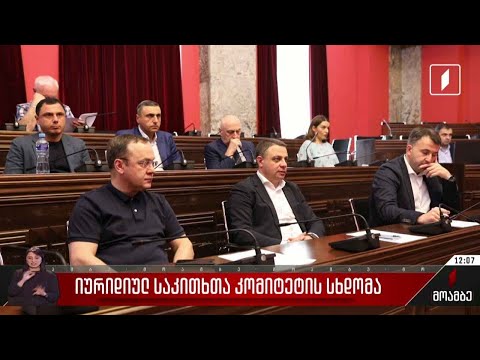 იურიდიულ საკითხთა კომიტეტის სხდომა