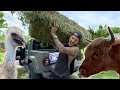 FARM CHORES AT RYDERS RANCH ! EVERYBODY GOTTA EAT !