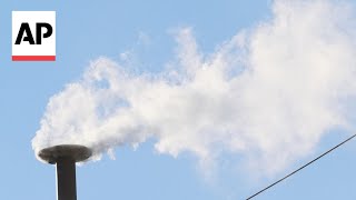 Moment White Smoke Rises From The Sistine Chapel As New Pope Is Chosen