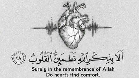 وجزاهم بما صبروا جنة وحريرا - سورة الإنسان - الآية12حالات واتس اب إسلامية - أرح سمعك#قرآن كريم#quran