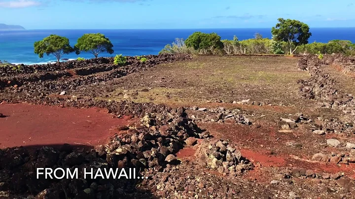 Hawaii and Oregon Video and Images by Douglas Bowser