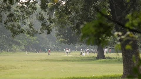 Game Theory: Extensive Form Class 1 Examples of Perfect & Imperfect Information Game