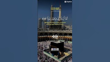 Surah Al-Muzzammil❤️سورة المزمل