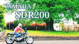 異次元へワープ！？２ストバイク【SDR200】【YAMAHA】【絶滅危惧車】