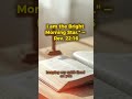 Start your morning with His light ✨ | Morning Star 🏔️ #worshipmusic #sundaymorningprayer