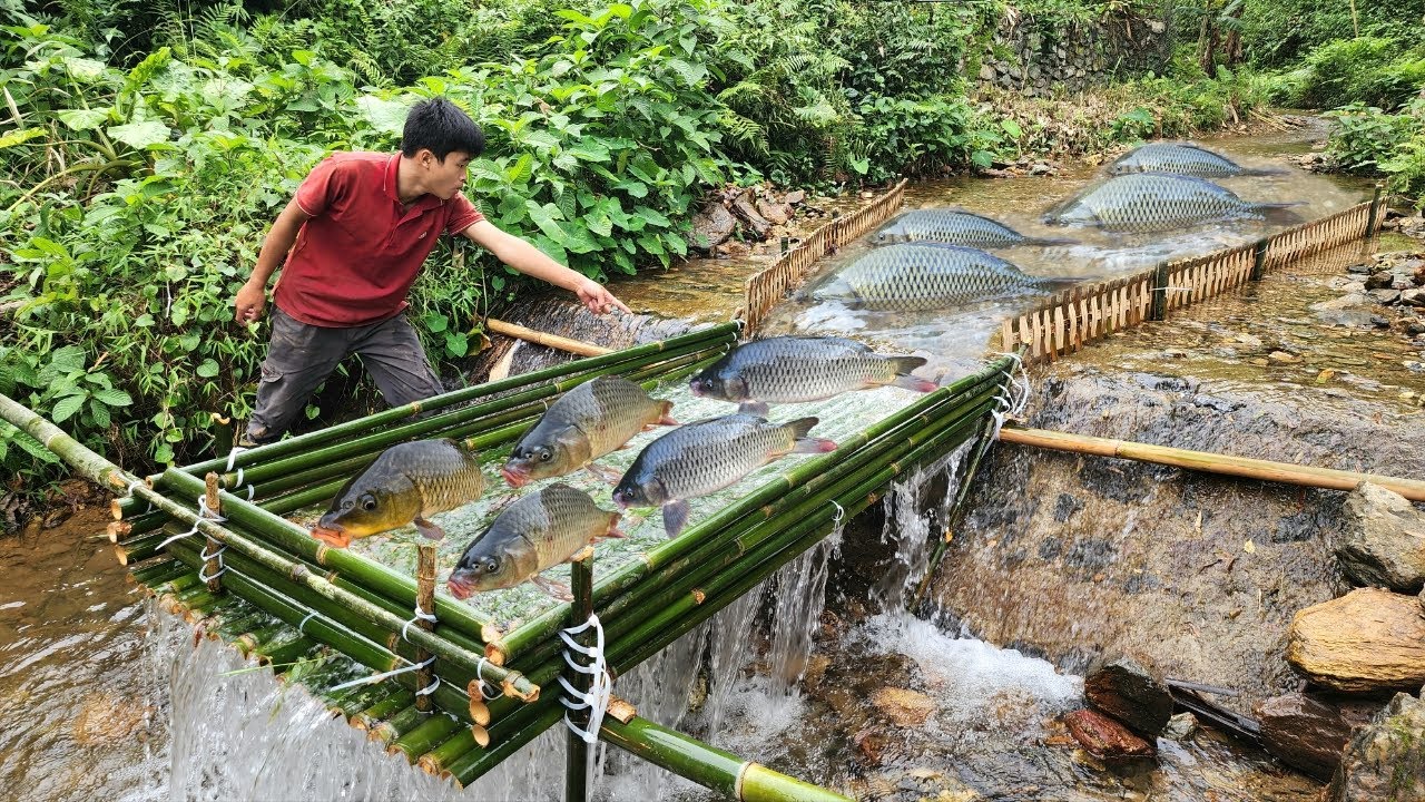 The boy fished using the ancient method. Luckily caught a lot of fish ...