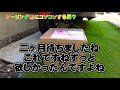 #ハーレーダビットソン#ロードグライドスペシャル#オーシャンビートル#ヘルメット#購入【モトブログ】イベント前に間に合った！