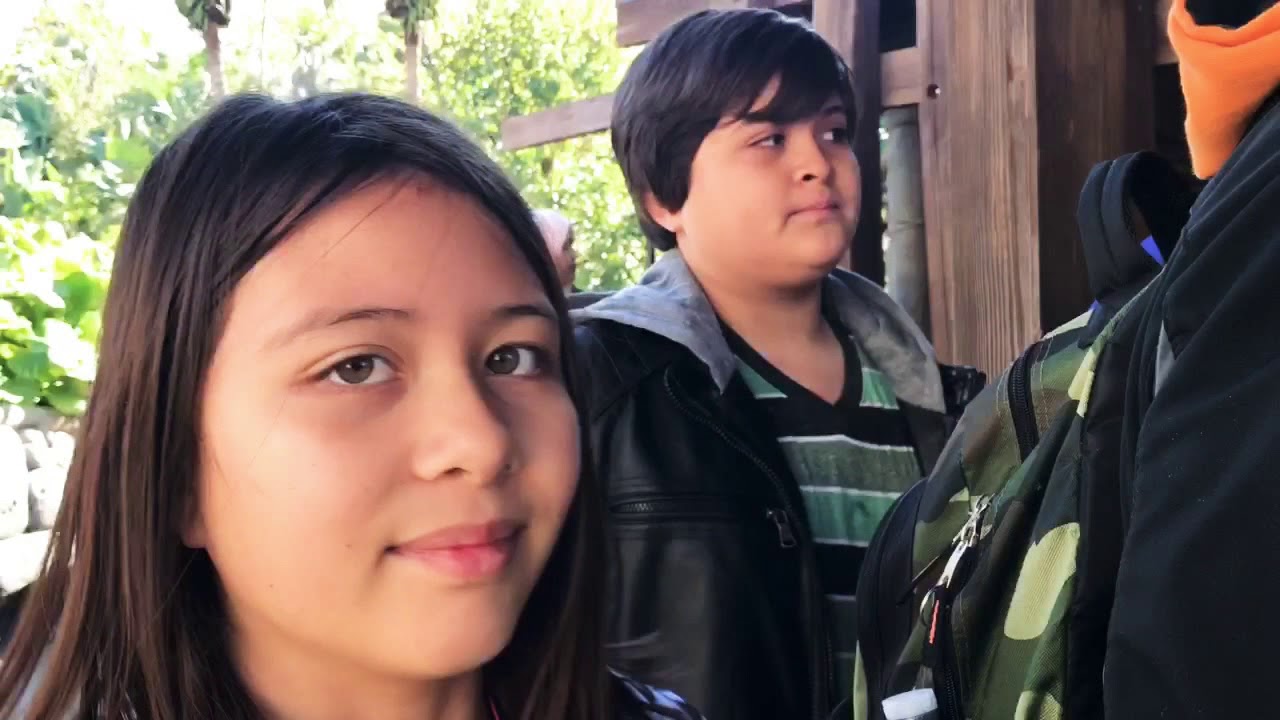 SWISS FAMILY TREEHOUSE ADVENTURELAND MAGIC KINGDOM WALT DISNEY WORLD ...