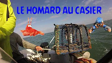 Comment sortir un homard d'un casier ?