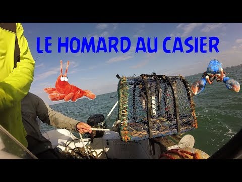 Vidéo: Peut-on pêcher du homard dans le Maine ?