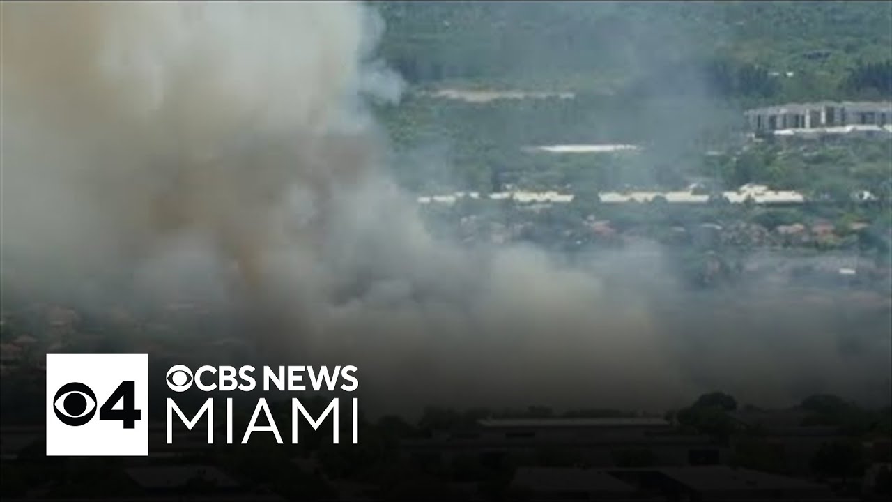 Miami-Dade Fire Rescue respond to grass fire near Miami Executive ...