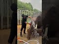 WAS war deine ERFAHRUNG mit einer THERAPEUTIN? #shorts #reddit #satisfying #deutsch