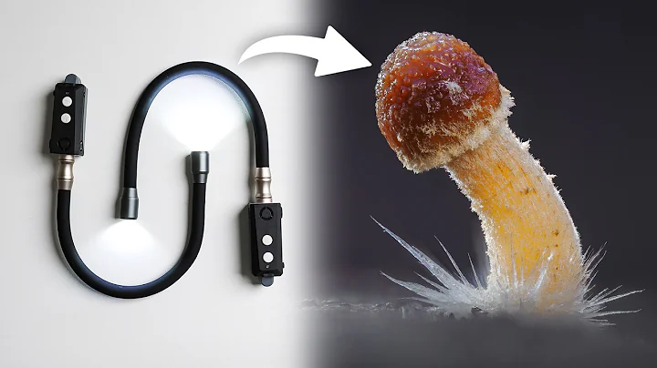 Flexible Lightweight Macro Lighting (Adaptalux Pod Mini Review)