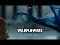 Ed Sheeran Wildflowers Legendado