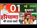 1 may 2024 haryana news       haryana live news  cwb hindi news