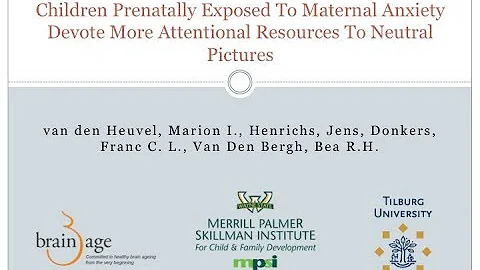 [VIDEO ABSTRACT] Developmental Science: Maternal a...