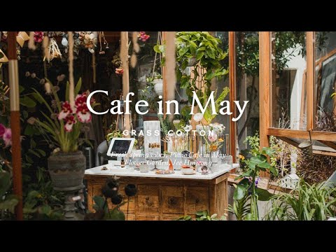 Видео: Свежая весенняя атмосфера, Piano Cafe в Мэйле | GRASS COTTON+