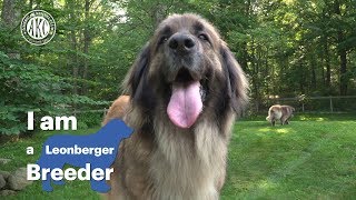 I am a Leonberger breeder  Alida Greendyk