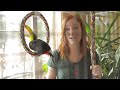 Baby Toucan's New Home
