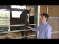 【秋華賞】シャドウディーヴァ・斎藤誠調教師 影の歌姫