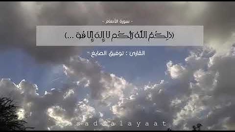 ﴿لا تُدرِكُهُ الأَبصارُ وَهُوَ يُدرِكُ الأَبصار…﴾ القارئ توفيق الصايغ