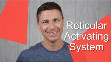 Reticular Activating System
