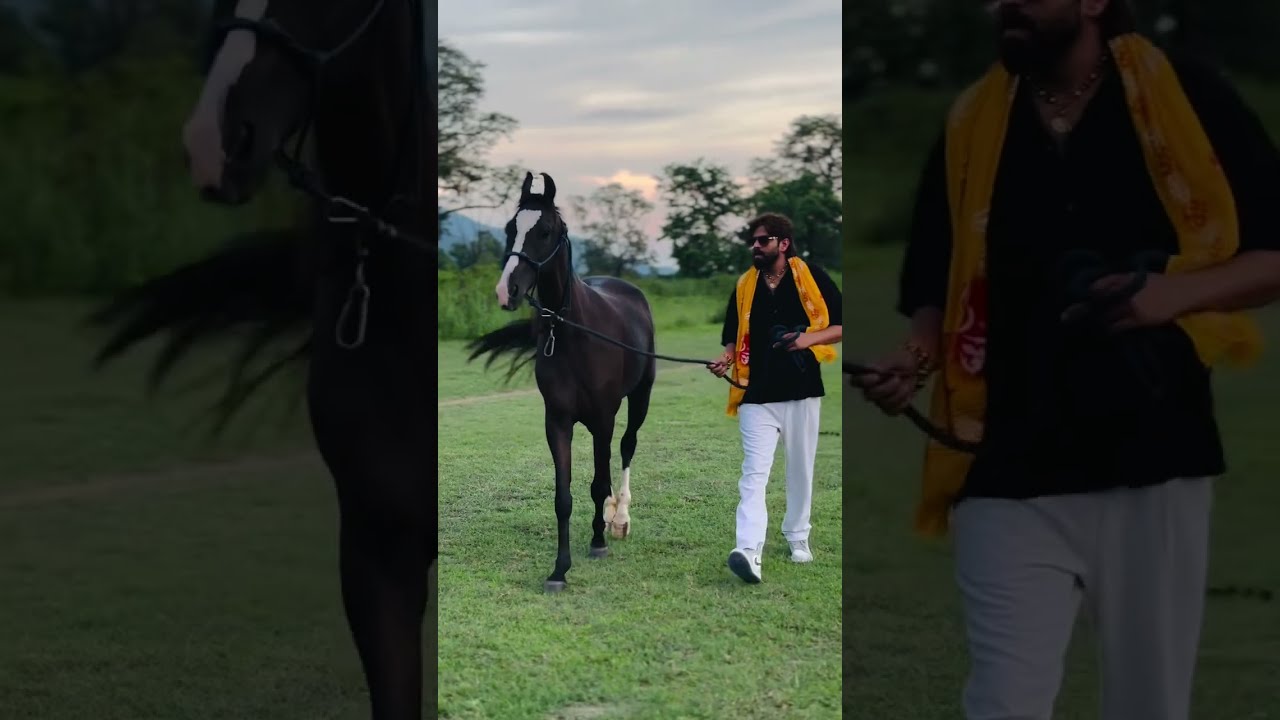 3 Sube Official Video Masoom Sharma Manjeet Mor KP Kundu Deep Laath New Haryanvi Song 2025