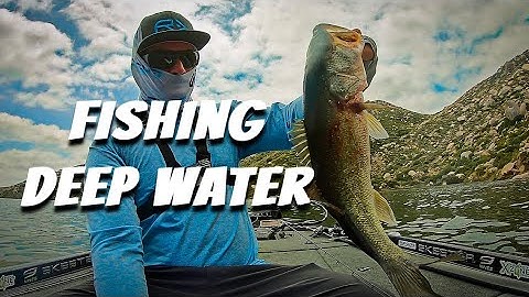 Drop Shot Fishing in Deep Water - how to catch fish in deep water