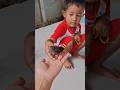 anak burung kaffa udah besar,,, #shortsy