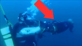 The Most TERRIFYING Giant Squid Encounters Of All Time