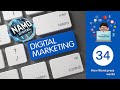 Digital Marketing Lesson 34  How Word press works
