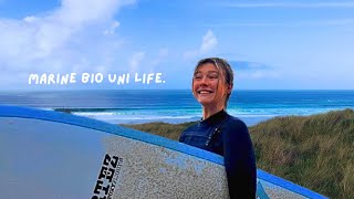 marine biology uni vlog 𖦹 studying marine biology, surfing, wellness habits