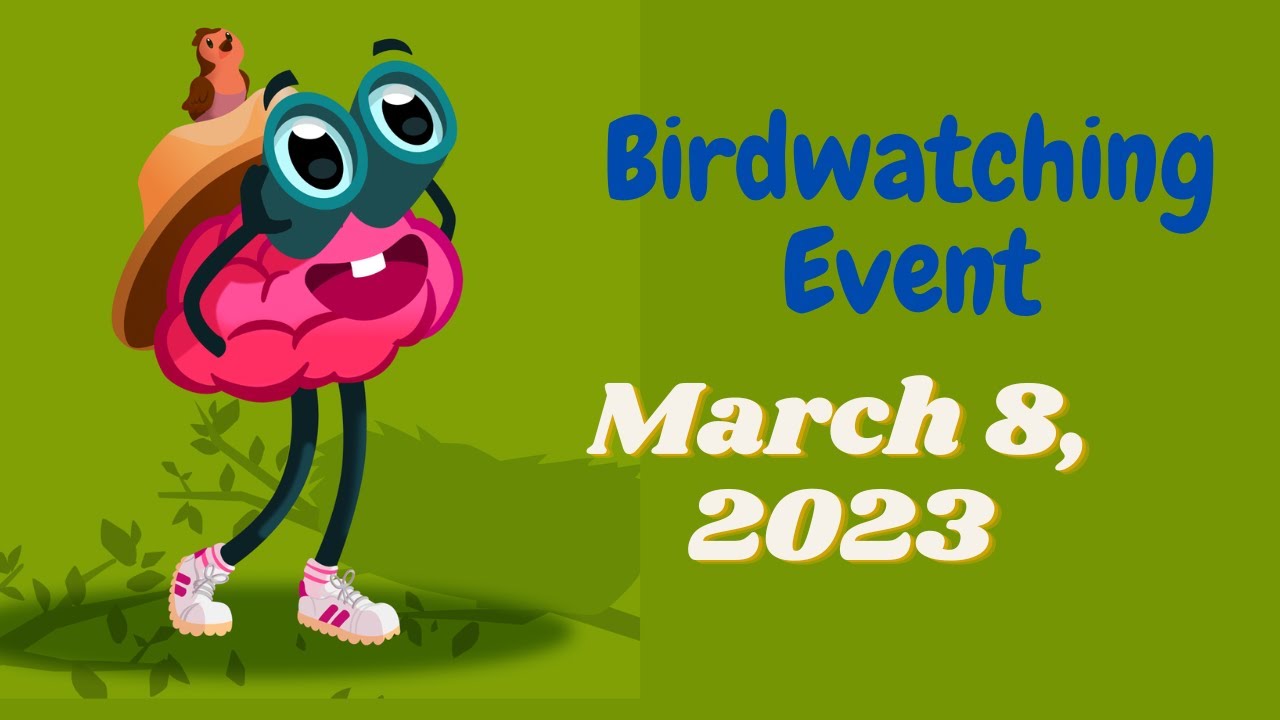 Wordbrain Birdwatching Event March 8 2023 Answers YouTube
