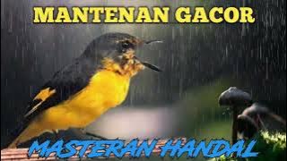 🔴 MASTERAN MANTENAN NEMBAK KEJAM DAN RAPET‼️ COCOK BUAT MASTERAN‼️