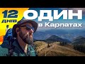 12 днів, один в Карпатах. Як походи змінюють життя?