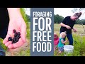 we foraged for 3LBs of FREE FOOD!