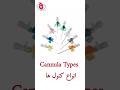 Cannula Types طبی Cannula با انواع کنول ها آشنا شوید 