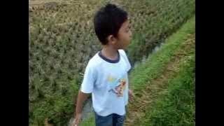 Anak Band - Jamilah