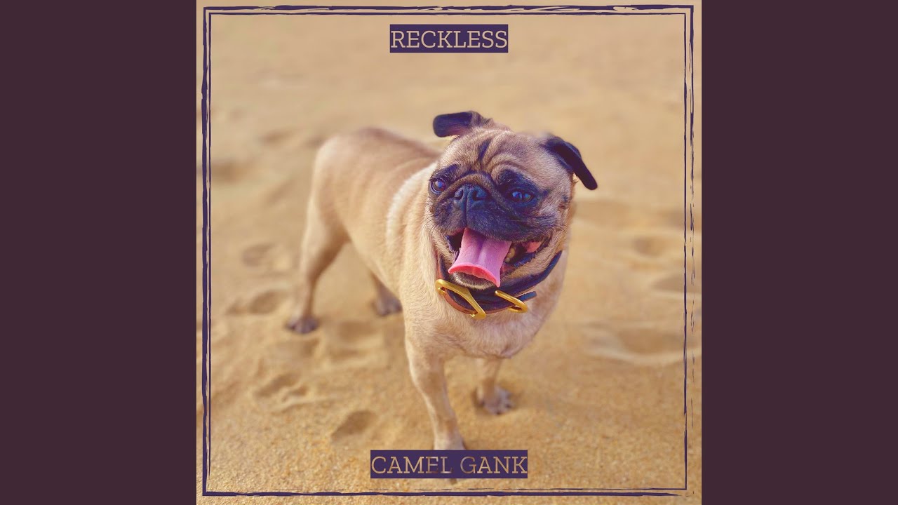 Reckless