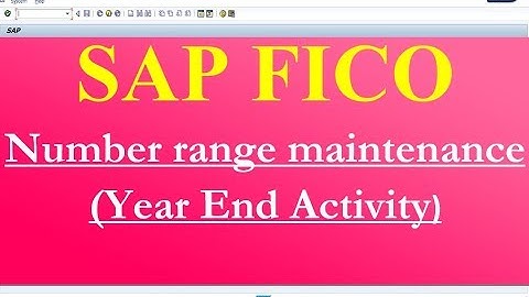 Number range maintenance (YEAR END ACTIVITY)