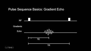 Introduction to MRI: Basic Pulse Sequences, TR, TE, T1 and T2 weighting screenshot 1