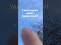 nouns: месяц, днём, verb: вижу, adverb: уливительно