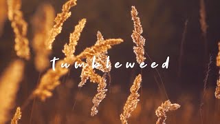 Somberbloom - Tumbleweed Lyric Video