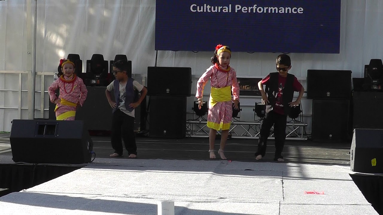Hilo lagla Nylon ko saree ma   Nepali Dance Performance